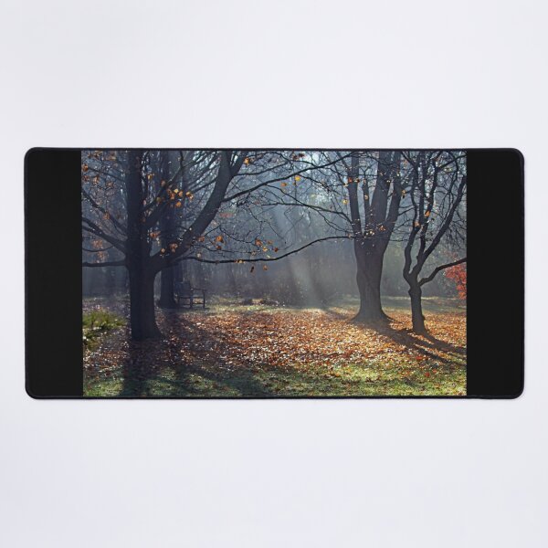 Item preview, Sunbeams And Fog In Autumn designed and sold by Deb Oppermann.