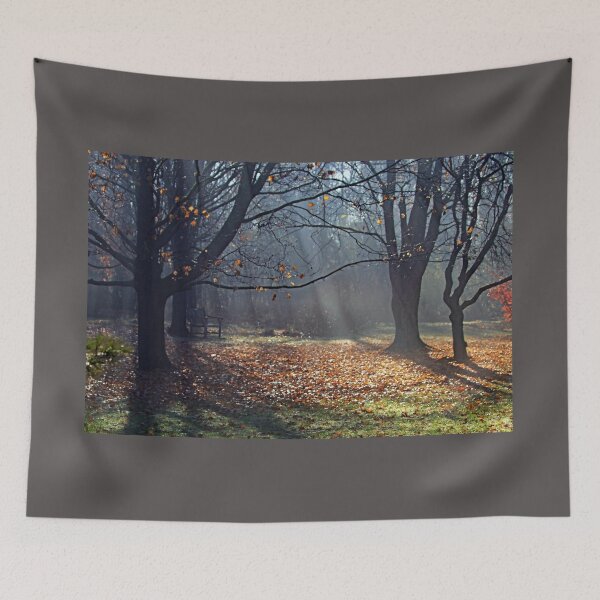 Item preview, Sunbeams And Fog In Autumn designed and sold by Deb Oppermann.