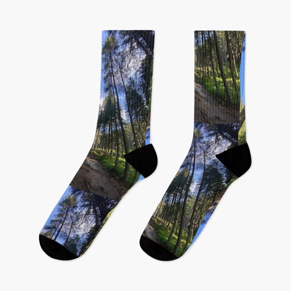 Item preview, The forest is a quiet place if only the best birds sing designed and sold by Sunriseeee.