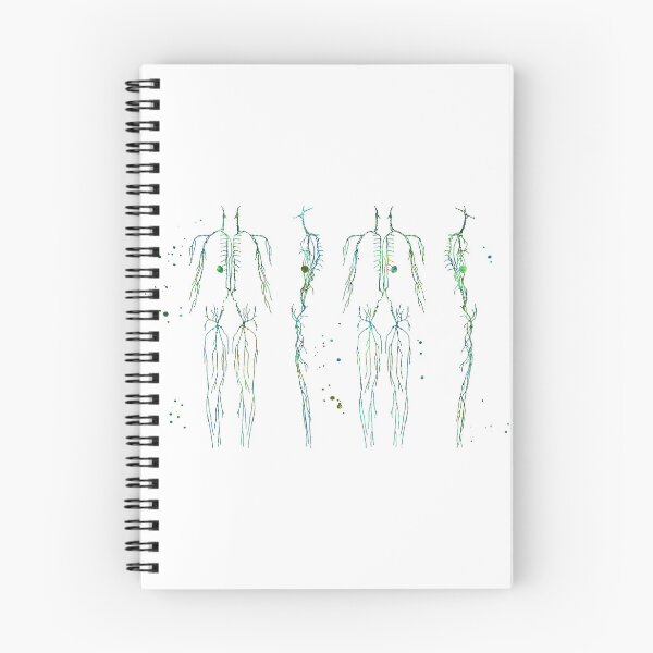 Item preview, Lymphatic System of the Human Body designed and sold by EvasDreams.
