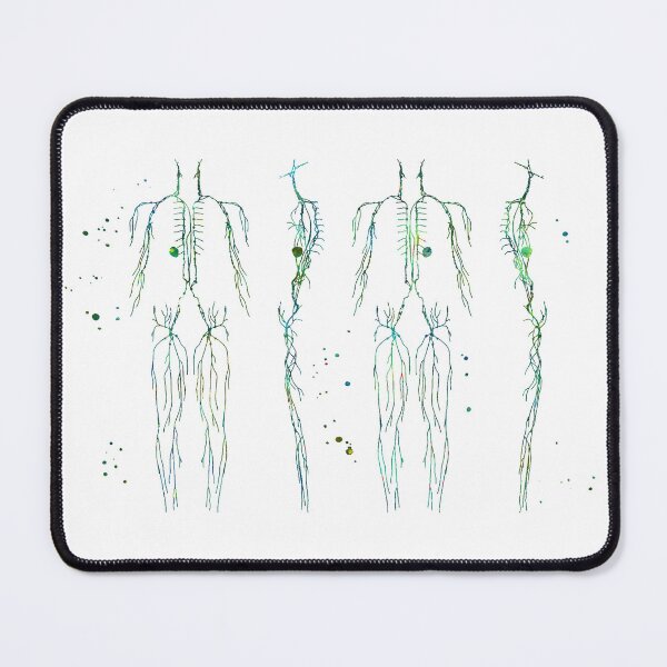 Item preview, Lymphatic System of the Human Body designed and sold by EvasDreams.