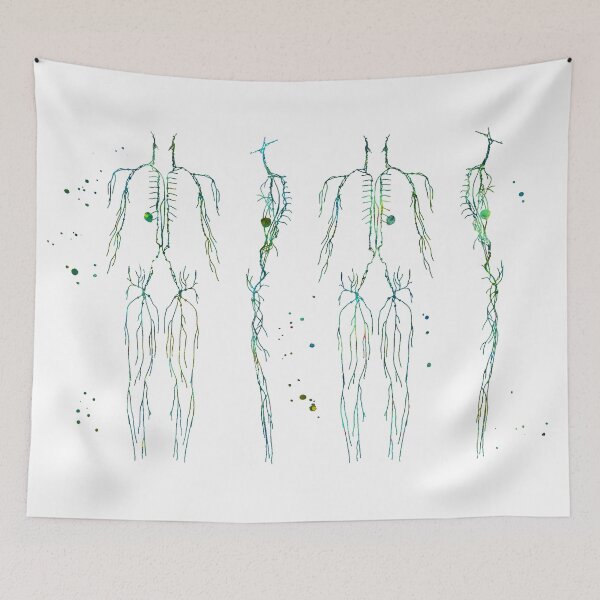 Item preview, Lymphatic System of the Human Body designed and sold by EvasDreams.