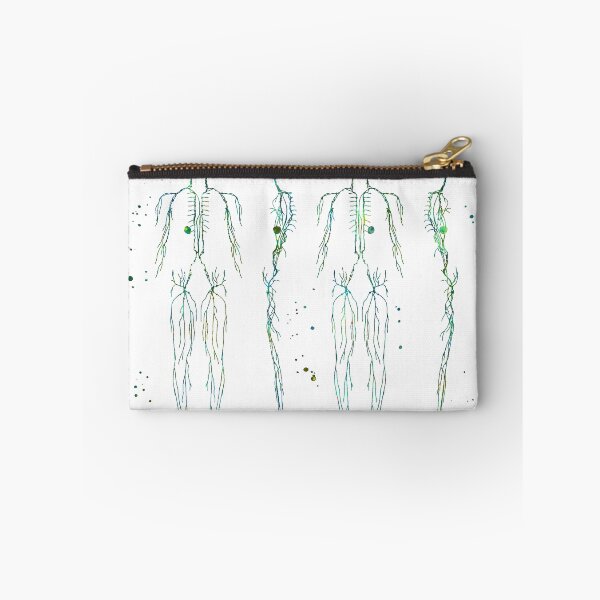 Item preview, Lymphatic System of the Human Body designed and sold by EvasDreams.