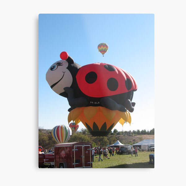 The Ladybug Metal Print