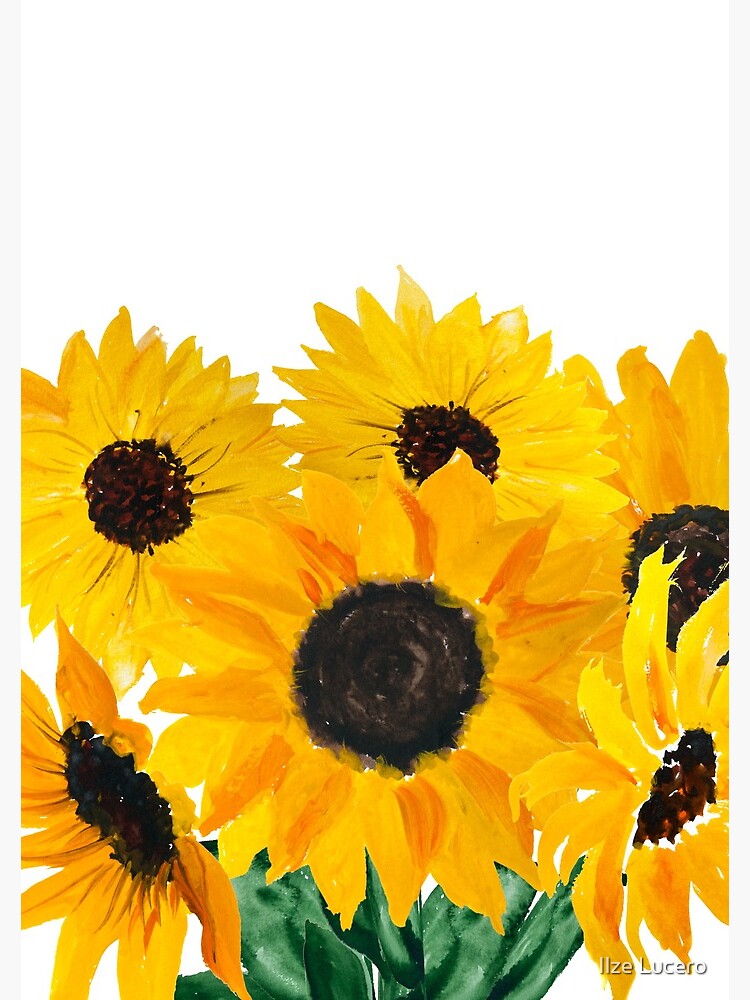 Painted sunflower bouquet by ilzesgimene