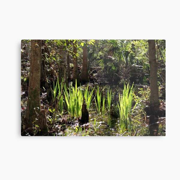 Green Glow Metal Print