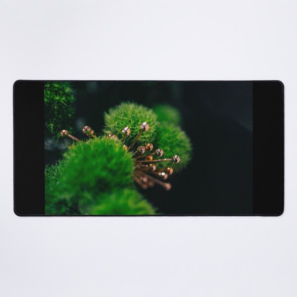 Item preview, Moss Balls with accent designed and sold by killies.