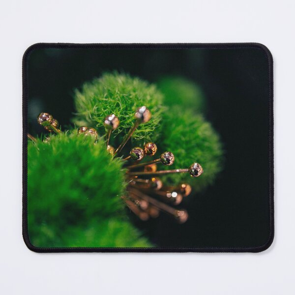 Item preview, Moss Balls with accent designed and sold by killies.