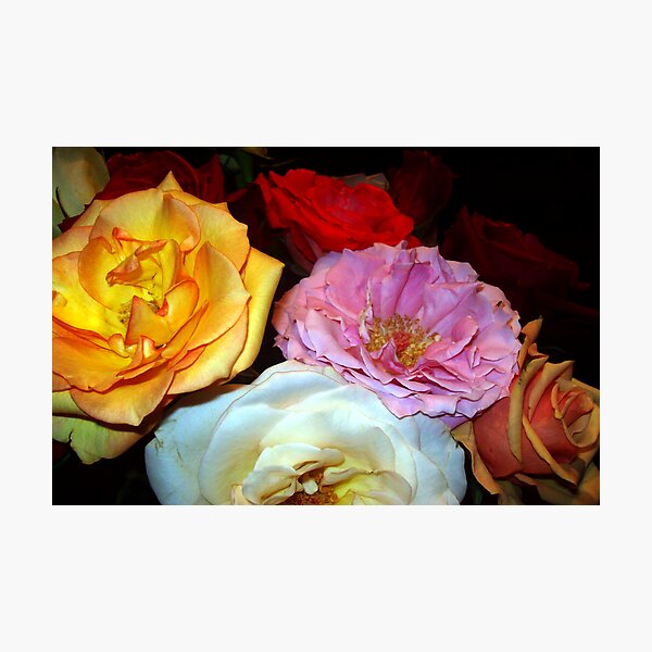 Artikelvorschau, My Roses 16 entworfen und verkauft von Mariam Muradian.