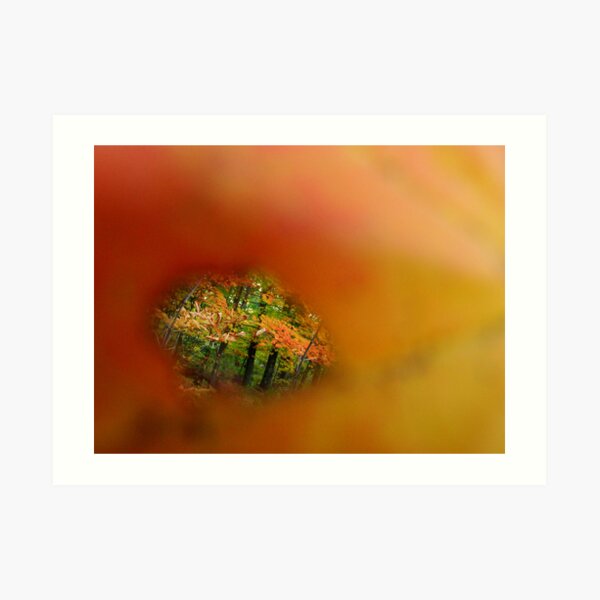 Quality of Beauty Art Print