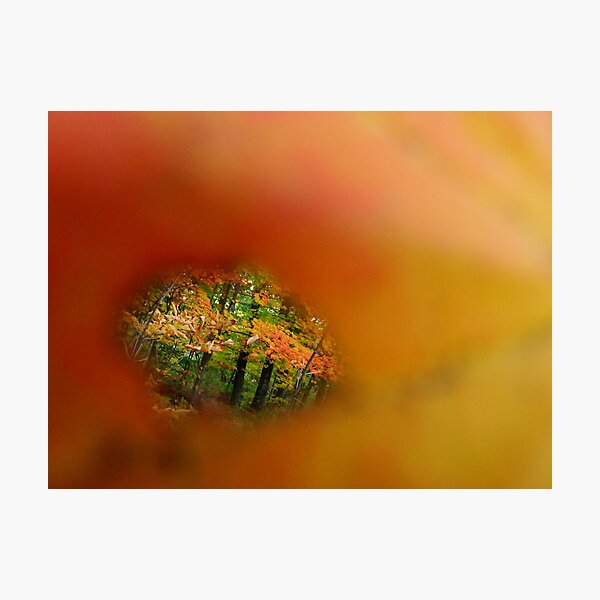 Quality of Beauty Photographic Print