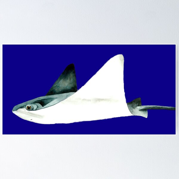 Item preview, Sting Ray  designed and sold by ShibaBrie.