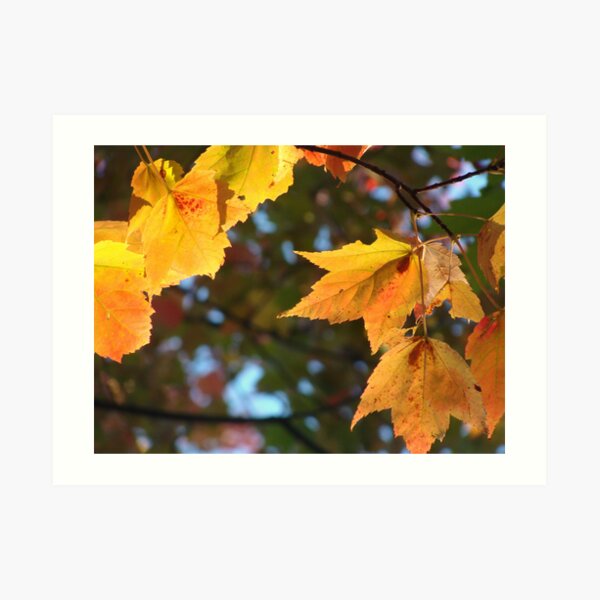 Delicious Autumn Art Print