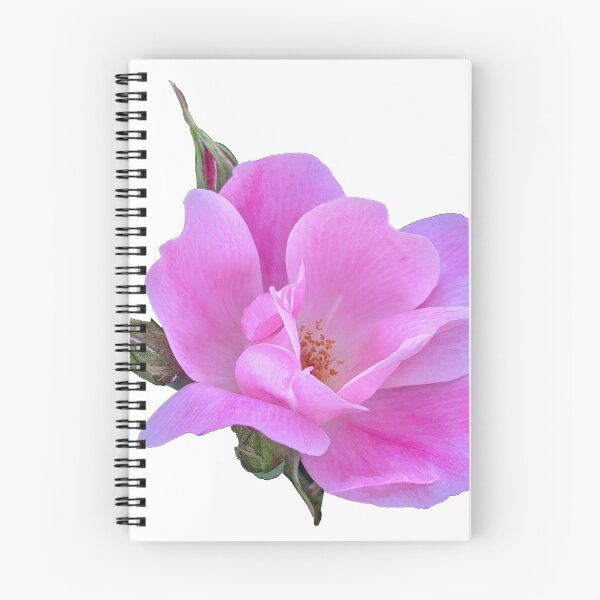 Item preview, Happy Rose designed and sold by ScintillantArt.