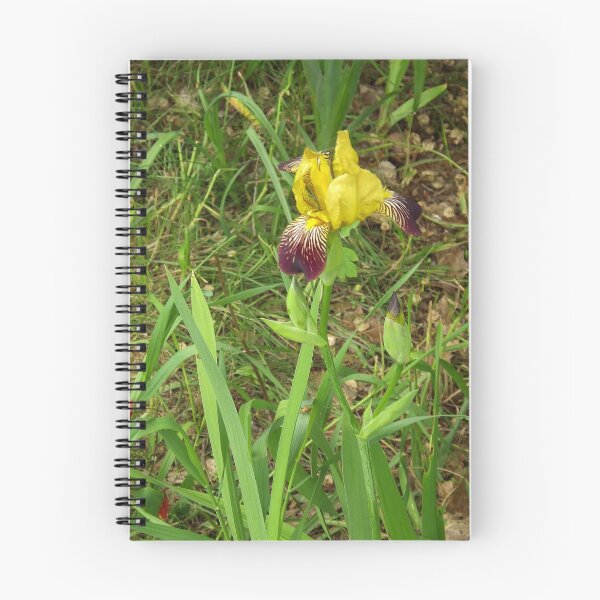 Item preview, Yellow And Purple Flower                    Pentax X-5 Series 16 MP designed and sold by TKUsitalo.