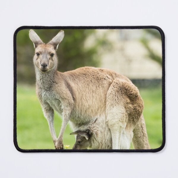 Item preview, Kangaroo and joey in pouch designed and sold by Images by Chris de Blank.