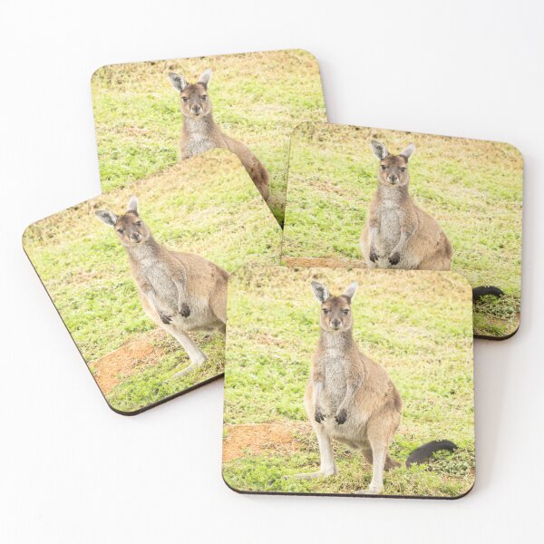 Item preview, Young kangaroo Pemberton, Western Australia designed and sold by Images by Chris de Blank.