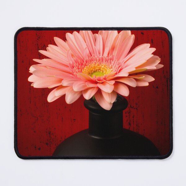 Artikelvorschau, Rosa Gänseblümchen In Wunderbarer Schwarzer Vase entworfen und verkauft von Garry Gay.