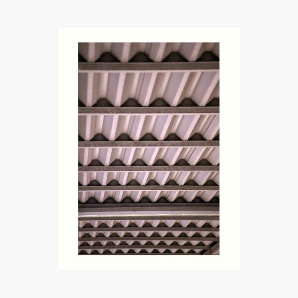 Corrugated Roof Art Print