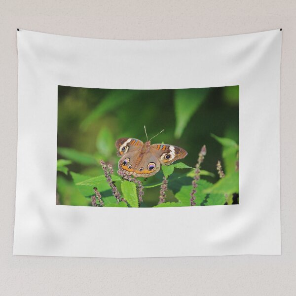 Item preview, Buckeye Butterfly designed and sold by Cynthia48.
