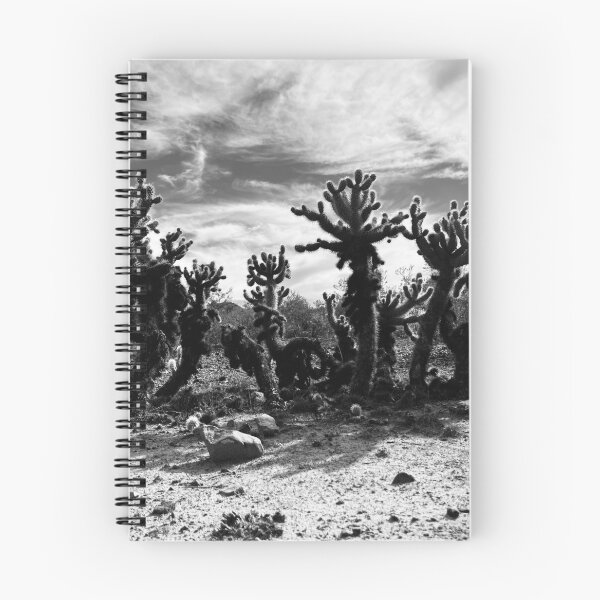 Item preview, a band of cacti designed and sold by Anna Barrett.