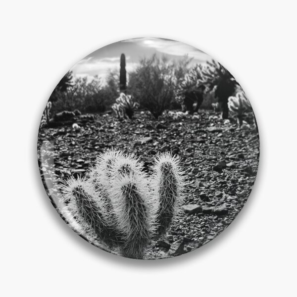 Item preview, the cactus that went solo designed and sold by Anna Barrett.