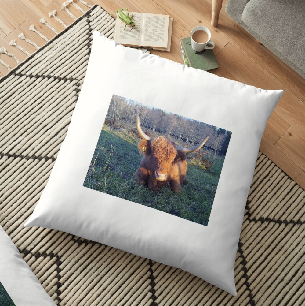 highland cattle pillow