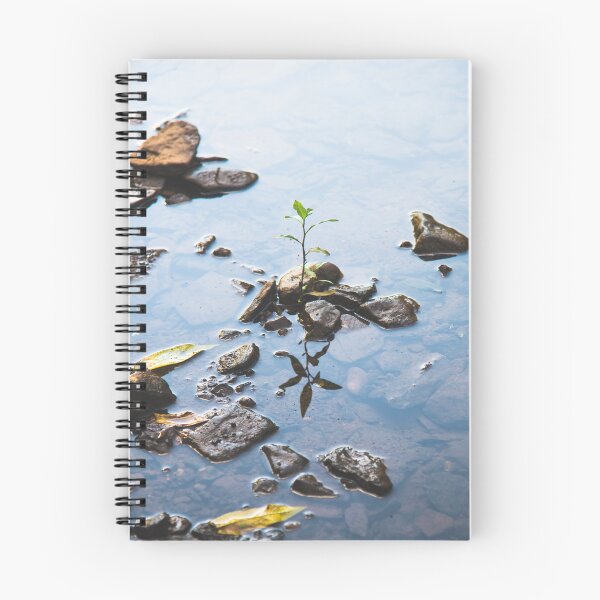 Item preview, Delicacy designed and sold by JaredSpackman.
