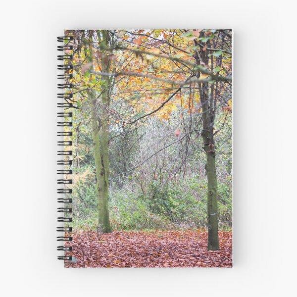 Artikelvorschau, Roter und grüner Baum des Herbstes entworfen und verkauft von John Stoves.