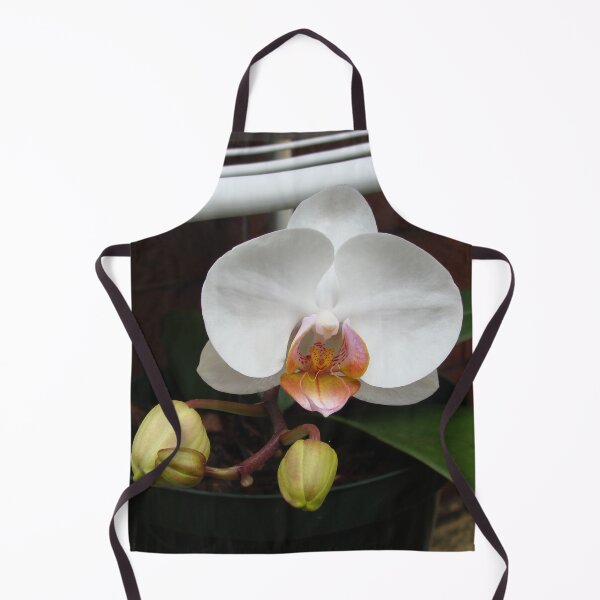 Item preview, Phalaenopsis (Moth Orchid) designed and sold by Anthony Seeker.