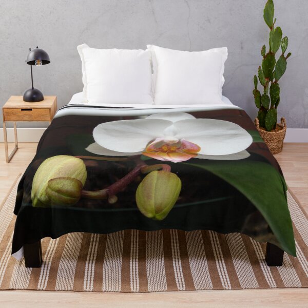 Item preview, Phalaenopsis (Moth Orchid) designed and sold by Anthony Seeker.