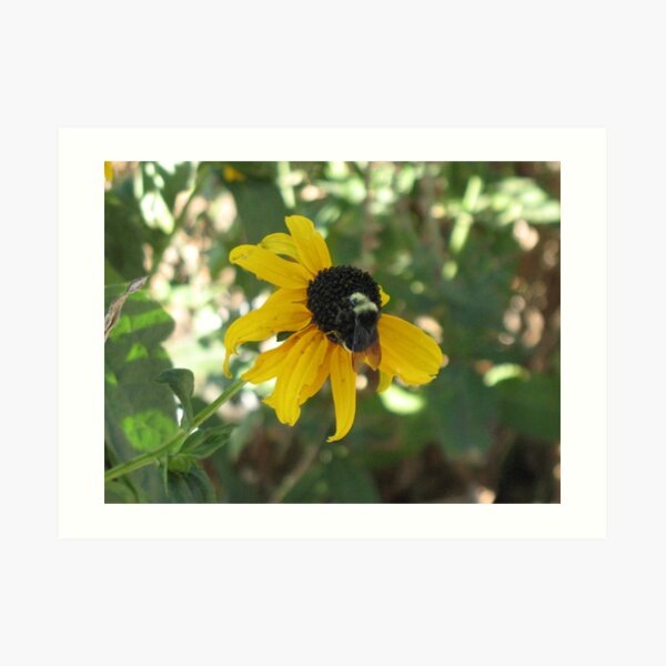 Buzzed Art Print