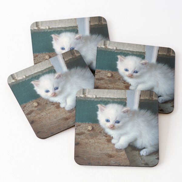 Item preview, White Kitten designed and sold by Frankie Cat Photography.