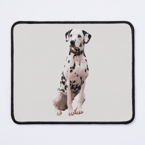 Item preview, Handsome Dalmatian designed and sold by RainbowSpinkle.