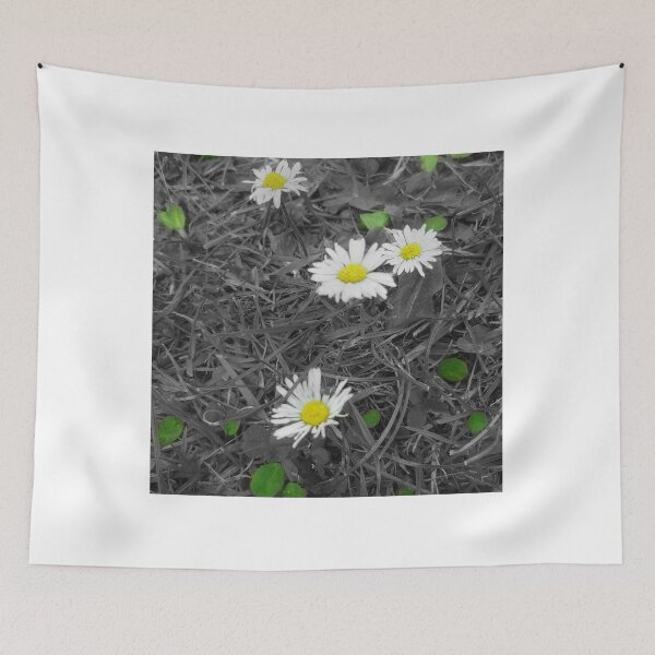 Item preview, Daisies designed and sold by Hannah Lowe.