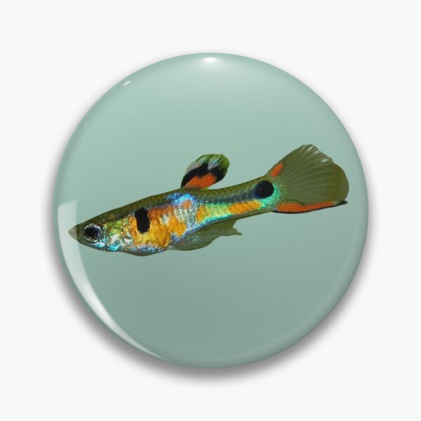 Item preview, Guppy Fish designed and sold by RainbowSpinkle.