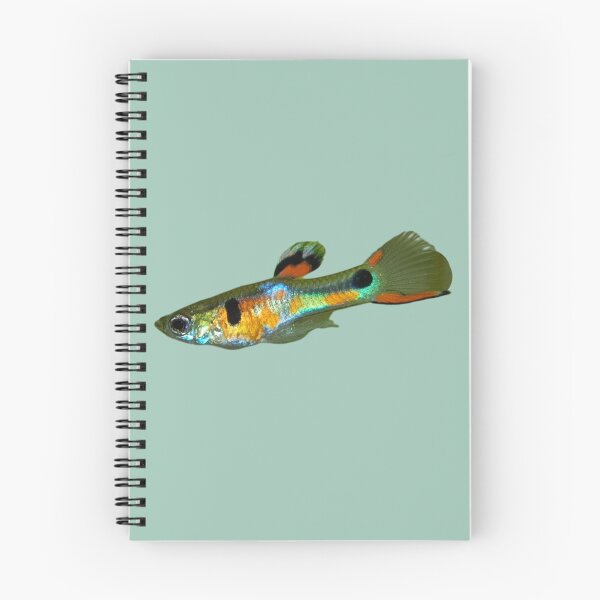 Item preview, Guppy Fish designed and sold by RainbowSpinkle.