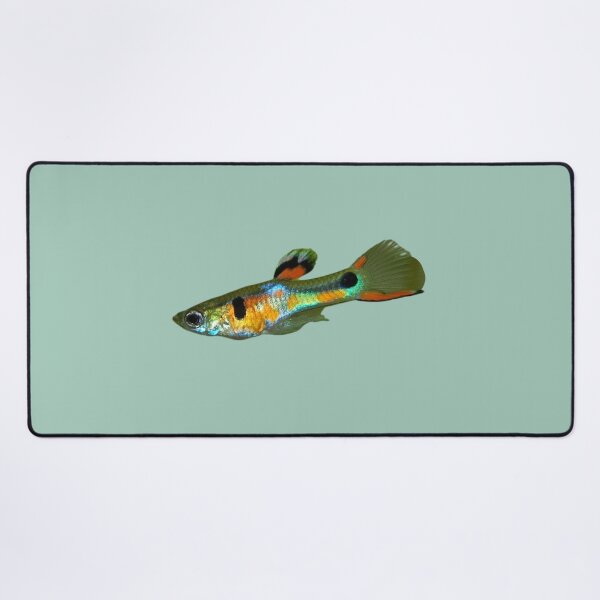 Item preview, Guppy Fish designed and sold by RainbowSpinkle.