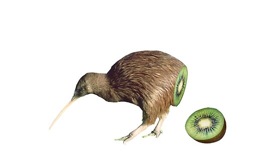 A digital image of half bird and half kiwi fruit