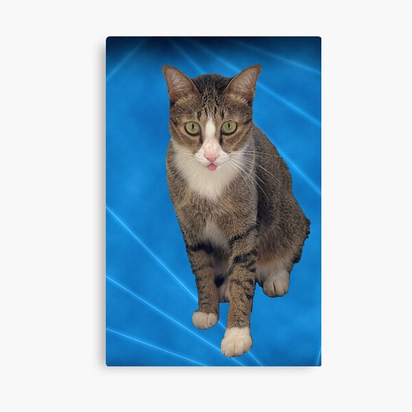 Party Cat Canvas Print