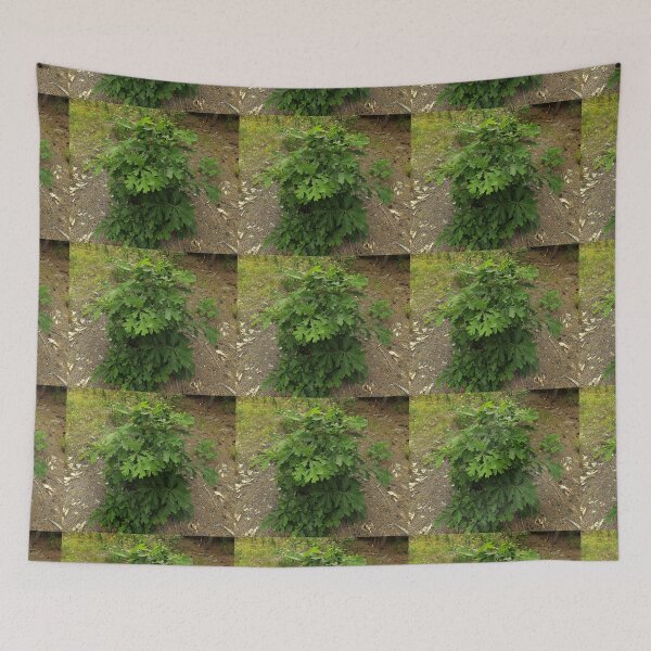Item preview, Tree With Water Spots                                      Pentax X-5 16 MP  designed and sold by TKUsitalo.