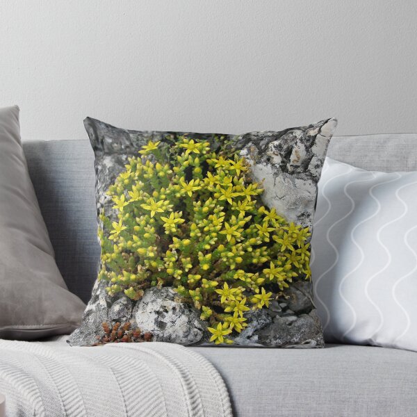 Item preview, Sedum designed and sold by Martulia.