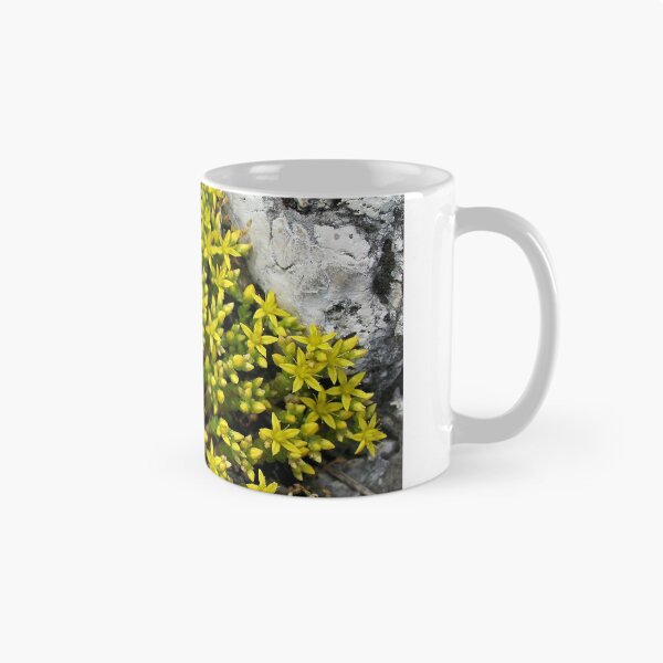 Item preview, Sedum designed and sold by Martulia.