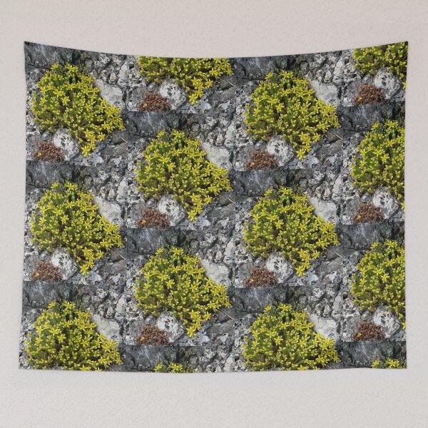 Item preview, Sedum designed and sold by Martulia.