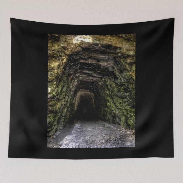 Artikelvorschau, Stumphouse-Tunnel-Klassiker entworfen und verkauft von nitchrommen0.