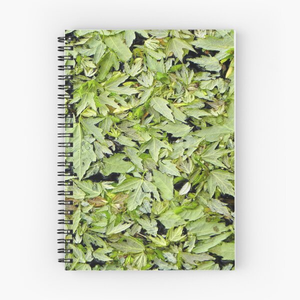 Item preview, Leaves of green designed and sold by Robin Simmons.