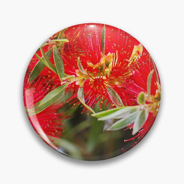 Item preview, Bottlebrush Flowers Bright Red  designed and sold by Joy Watson - Natural Light Photography .