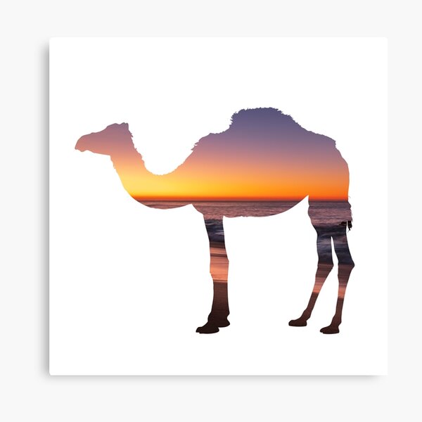 Camel Cigarettes Canvas Prints for Sale Redbubble