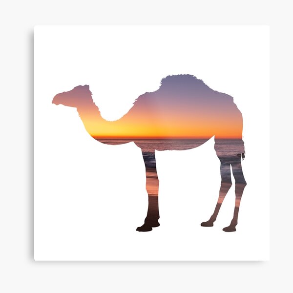Item preview, Camel, Camel Desert, Camel Desert Sand, Camel sunrise  designed and sold by GraphicSmartCo.