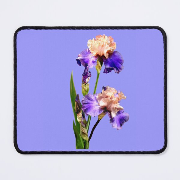 Item preview, Florentine Silk Iris designed and sold by Anthony Seeker.
